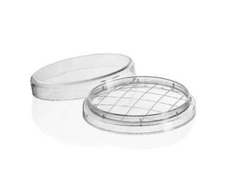 Petri Dish